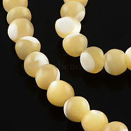 Round Natural Sea Shell Bead Strands, Wheat, 4mm, Hole: 0.5mm, about 105pcs/strand, 15.75 inch(BSHE-Q025-04A)