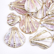 Electroplate Sea Shell Pendants, with Iron Findings, Light Gold, Seashell Color, 33~47x27~43x10~14mm, Hole: 2mm(SSHEL-S262-34)