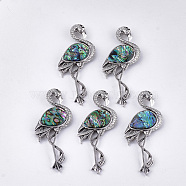 Abalone Shell/Paua Shell Brooches/Pendants, with Resin Bottom and Alloy Findings, Flamingo Shape, Antique Silver, Colorful, 83.5x38x8~10mm, hole: 4x3mm, Pin: 0.7mm(RESI-S376-20C)