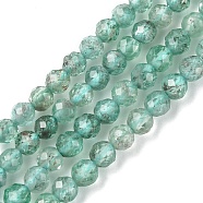 Natural Apatite Beads Strands, Faceted, Round, 3~3.5mm, Hole: 1mm, about 110~114pcs/strand, 15.28~15.55 inch(38.8~39.5cm)(G-F748-J01-01)