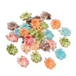 Synthetic Coral Beads, Dyed, Flower, Mixed Color, 31~32x23~24x9~10mm, Hole: 1mm(CORA-S027-35)