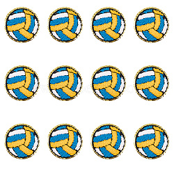 Polyester Iron on/Sew On Patches, Hot Melt Adhesive, Cloth Appliques, Sport, Volleyball, Blue, 66x3mm(PATC-WH20005-16A)