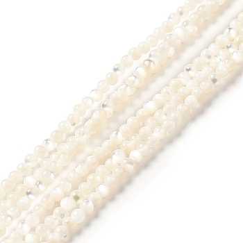 Natural White Shell Beads Strands, Round, White, 2mm, Hole: 0.5mm, about 199pcs/strand, 15.55 inch(39.5cm)