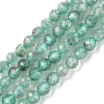 Natural Apatite Beads Strands, Faceted, Round, 3~3.5mm, Hole: 1mm, about 110~114pcs/strand, 15.28~15.55 inch(38.8~39.5cm)