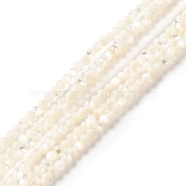 White Round White Shell Beads