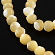 Round Natural Sea Shell Bead Strands(BSHE-Q025-04A)-1