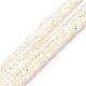 Natural White Shell Beads Strands(SHEL-G014-14)-1