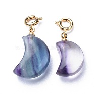 Carved Natural Fluorite Pendants, with Brass Spring Ring Clasps, Long-Lasting Plated, Moon, Golden, 25~28mm, Pendant: 18~20.5x11~13x7.5~8mm(G-J387-47)