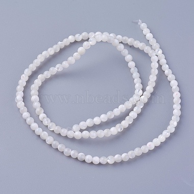 Shell Beads Strands(SSHEL-E571-39-3mm)-2