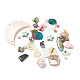 Mixed Style Natural Shell Pendants & Beads(BSHE-XCP0001-05)-1