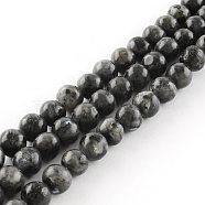 Natural Labradorite Round Bead Strands, 6mm, Hole: 1mm, about 62pcs/strand, 15.7 inch(G-R342-6mm-09)