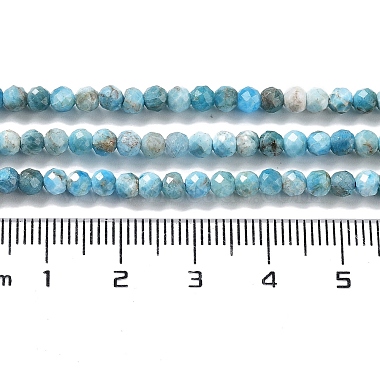 Natural Apatite Beads Strands(G-J400-E04-01)-5