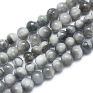 Natura Hawk's Eye Beads Strands, Eagle Eye Stone, Round, 10mm, Hole: 1mm, about 41pcs/Strand, 15.94 inch(40.5cm)(G-D0001-22C-10mm)