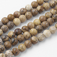 Natural Picture Jasper Bead Strands, Round, 6~6.5mm, Hole: 1mm, about 60pcs/strand, 14.9 inch(38cm)(G-G735-16-6mm)