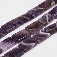 Natural Amethyst Beads Strands, Rectangle, 20x12.5x3.5mm, Hole: 1mm, about 20pcs/strand, 17 inch(G-K153-M05)