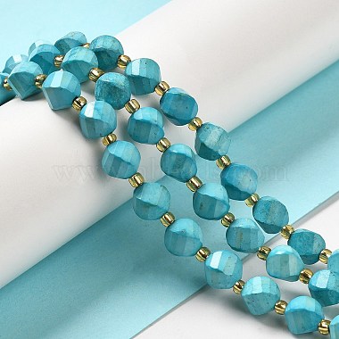 Dyed Natural Howlite Beads Strands(G-G023-B01-02C)-2