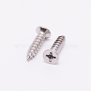 Stainless Steel Flat Head Screw, Stainless Steel Color, 15x6mm(STAS-WH0016-14P)