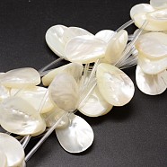Natural Trochid Shell/Trochus Shell Beads Strands, Top Drilled Beads, Teardrop, Creamy White, 25x18x3~5mm, Hole: 1mm, about 10pcs/strand, 14.96 inch(X-SSHEL-K009-12)