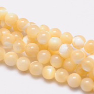 Natural Sea Shell Round Bead Strands, 4mm, Hole: 1mm, about 108pcs/strand, 15.5 inch(SSHEL-M013-4mm-02)