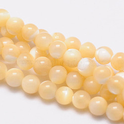 Natural Sea Shell Round Bead Strands, 4mm, Hole: 1mm, about 108pcs/strand, 15.5 inch(SSHEL-M013-4mm-02)