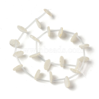 Natural White Shell Mother of Pearl Shell Beads(BSHE-B005-07)-2