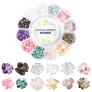 DIY Gemstone Bracelet Making Kit, Including Natural & Synthetic Mixed Gemstone Chips & Shell Beads, Elastic Thread, Beads: 10g/style, 12 style, 120g/box(DIY-YW0006-65)
