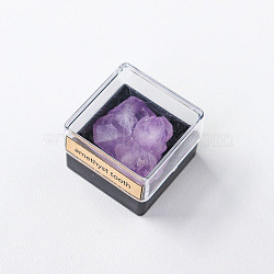Reiki Raw Natural Amethyst Tooth Nuggets Specime in Square Plastic Box, for Home Display Decoration, 19~29x15~22x12~16mm(DJEW-PW0016-01I)