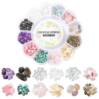 DIY Gemstone Bracelet Making Kit, Including Natural & Synthetic Mixed Gemstone Chips & Shell Beads, Elastic Thread, Beads: 10g/style, 12 style, 120g/box