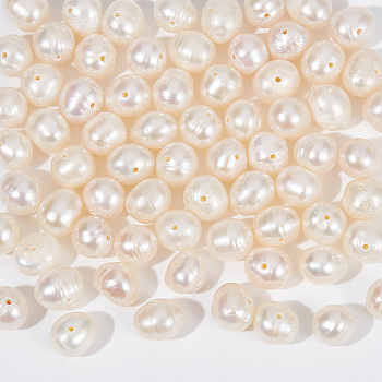 1 Strand Natural Cultured Freshwater Pearl Beads Strands, Rice, Seashell Color, 5~6.5x5.5~6x4.5~5mm, Hole: 0.5mm, about 69pcs/strand, 14.25 inch(36.2cm)