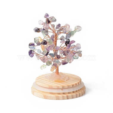 Geldbaum aus natürlichen Fluoritsplittern in gewölbten Glasglocken mit Holzsockel als Dekoration(DJEW-B007-04D)-3
