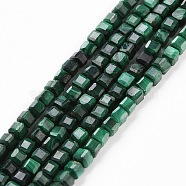 Natural Malachite Beads Strands, Faceted, Cube, 2.5x2.5x2.5mm, Hole: 0.5mm, about 186~188pcs/strand, 15.16~15.35 inch(38.5~39cm)(G-C009-B24)