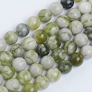 Natural Qinghua Jade Beads Strands, Round, 10mm, Hole: 1.2mm, about 38pcs/strand, 15.16 inch(38.5cm)(G-G818-01-10mm)