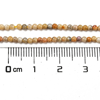 Natural Crazy Agate Bead Strands(G-A130-2mm-K10)-3