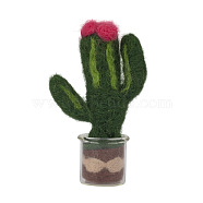 Succulent Plant Display Decoration Needle Felting Kit, with Iron Needles, Foam Chassis, Wool & Glass Cup, Mixed Color, 25~99x2~79x2~25mm(DIY-D064-08P)