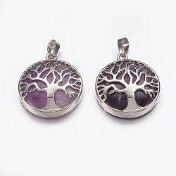 Natural Amethyst Pendants, with Brass Finding, Flat Round with Tree of Life, Platinum, 31x27x6mm, Hole: 5x8mm(G-E449-C07)