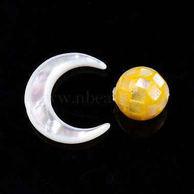 Natural Natural White Shell Beads(SSHEL-N032-51-B02)-2