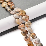 Natural Crazy Agate Beads Strands, Heart, 14~14.5x13.5~14x6~6.5mm, Hole: 1mm, about 28pcs/strand, 15.16''(38.5cm)(G-I372-A08-02)