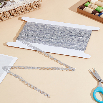 Metallic Lace Trim, Craft Ribbon for Bridal Costume Crafts and Sewing, with Cardboard Display Card, Silver, 3/8 inch(9~10mm)