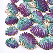 Spray Paint & Electroplate Sea Shell Pendants, with Iron Findings, Light Gold, Colorful, 19~28x20~30x7~11mm, Hole: 2mm(SSHEL-S262-07A)