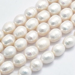 Natural Cultured Freshwater Pearl Beads Strands, Rice, WhiteSmoke, 9~11x8.5~9mm, Hole: 0.8mm, about 32pcs/strand, 13.78 inch(PEAR-K003-26B)