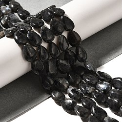 Natural Larvikite Beads Strands, Teardrop, 13.5~14x10~10.5x5mm, Hole: 1mm, about 27~28pcs/strand, 37.3~38.3cm(G-I377-A10)