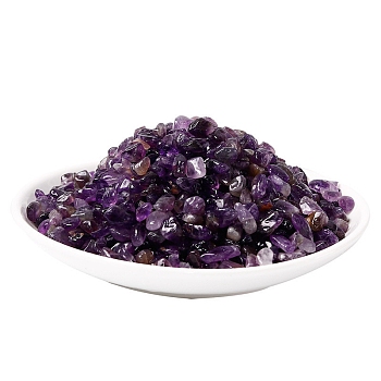 Natural Amethyst Chips Stone, Reiki Healing Stone for Home Fish Turtle Tank Decorations, 5~9mm, 100g/bag