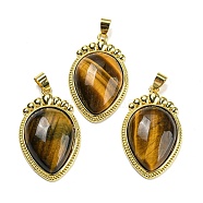 Natural Tiger Eye Pendants, Carrot Charms with Rack Plating Golden Tone Brass Findings, Lead Free & Cadmium Free, 36.5x22.5x7~7.5mm, Hole: 4x6.5mm(G-F760-02A-02G)