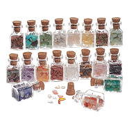 19Pcs Various Gemstone No Hole Chips in Bottles, with 1PC Empty Glass Bottles, 2~8x2~4mm, 19 colors, 3.5g/color, 66.5g(G-PH0034-50)