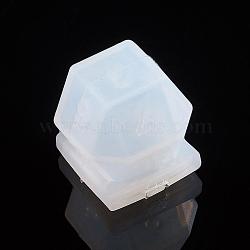 Silicone Dice Molds, Resin Casting Molds, For UV Resin, Epoxy Resin Jewelry Making, Polygon Dice, White, 21x21x21mm(X-DIY-L021-25)