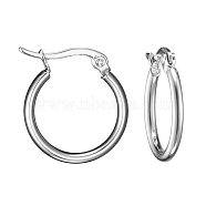 304 Stainless Steel Hoop Earrings, Hypoallergenic Earrings, Stainless Steel Color, 12 Gauge, 19~21x2mm, Pin: 0.7x1mm(X-EJEW-F105-11P)