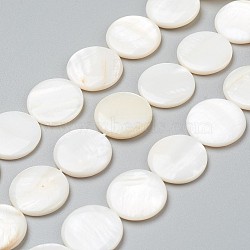 Natural Freshwater Shell Beads, Flat Round, 20x3.5~4.5mm, Hole: 0.5mm, about 20pcs/strand, 15.94 inch(40.5cm)(X-BSHE-I011-01A-02)