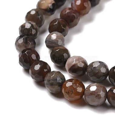 Natural Petrified Wood Beads Strands(G-E571-27A)-4