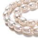 Natural Cultured Freshwater Pearl Beads Strands(PEAR-L033-74)-2