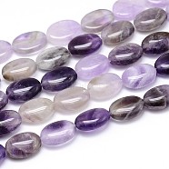 Natural Amethyst Flat Oval Bead Strands, 14x10x6mm, Hole: 1mm, about 29pcs/strand, 15.7 inch(G-M206-20)